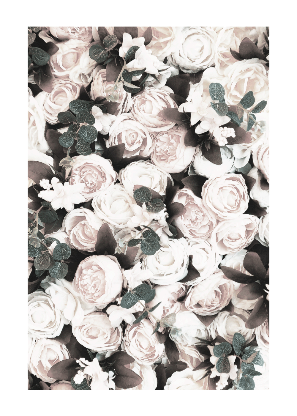 A box of roses - plakat