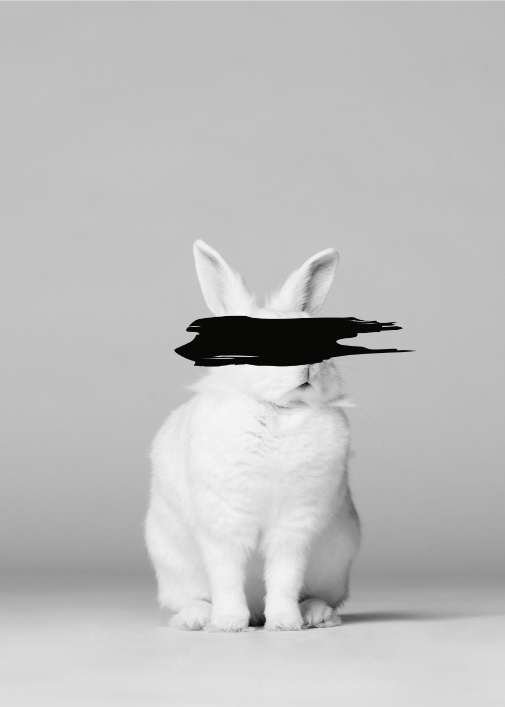 White bunny plakat