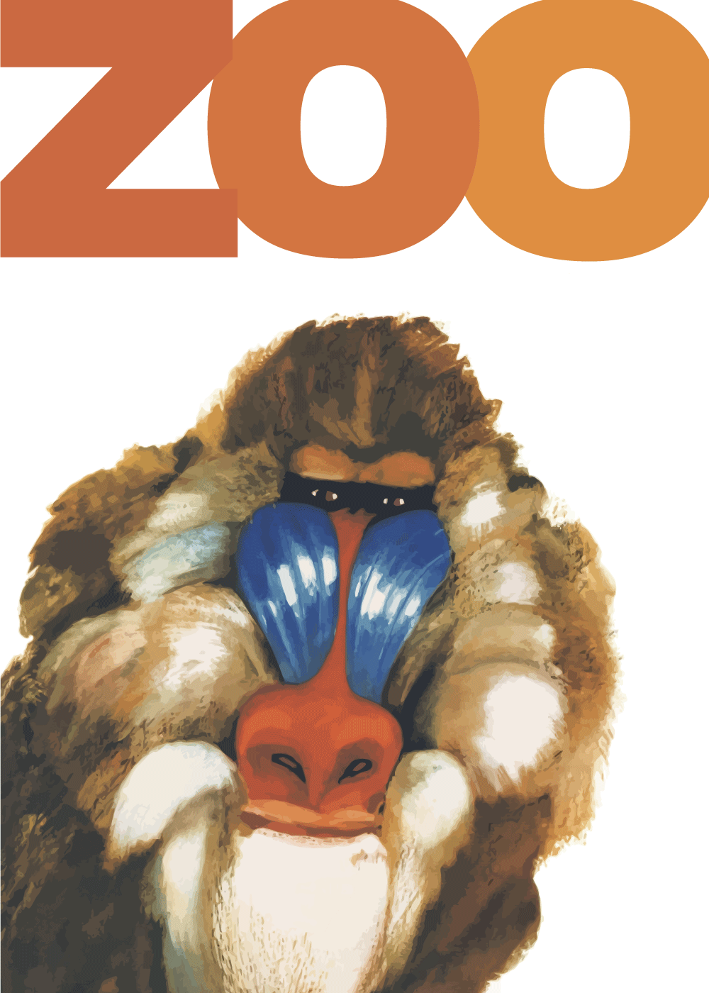 Zoo plakat - Bavian