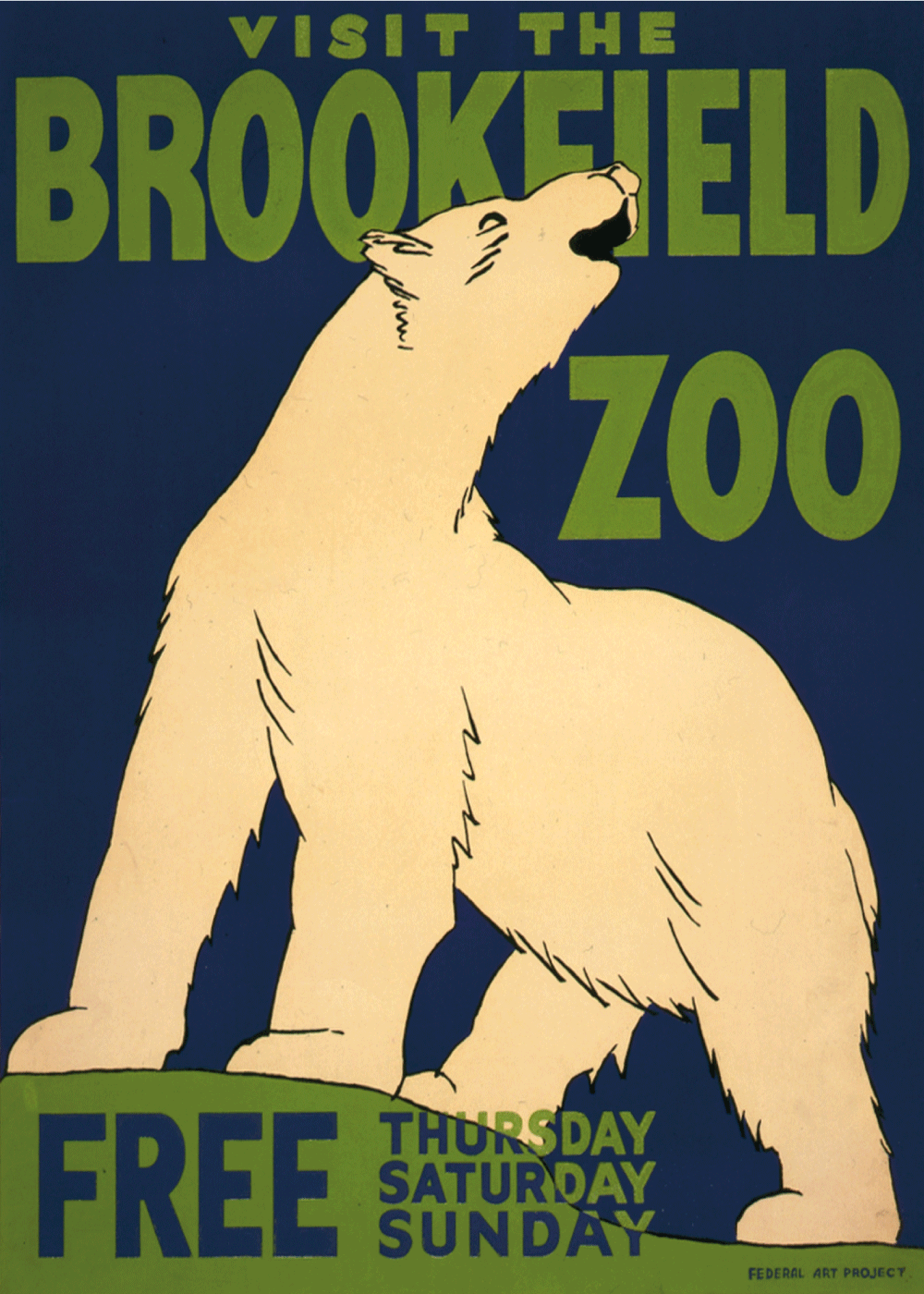 Zoo plakat - Isbjørn