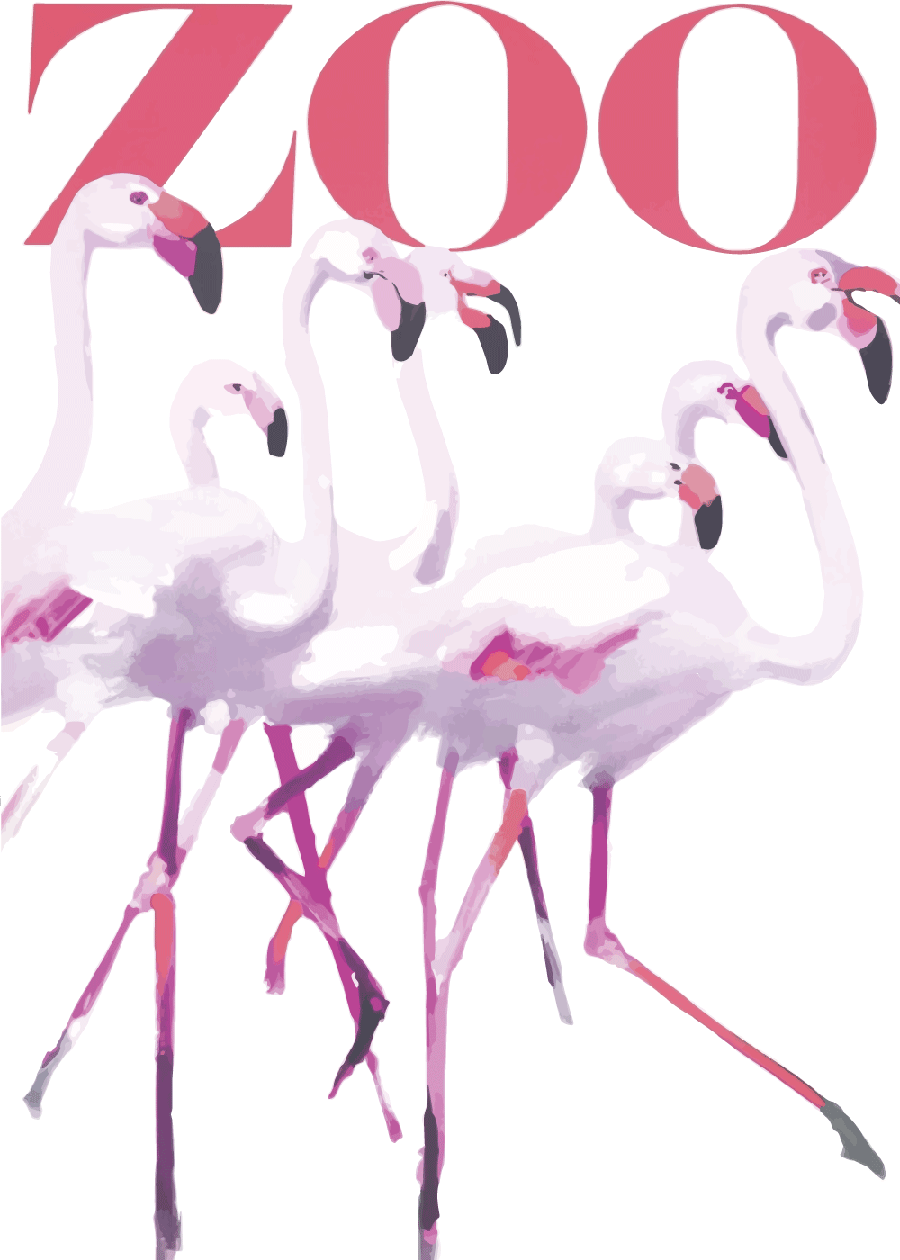 Zoo plakat - Flamingos