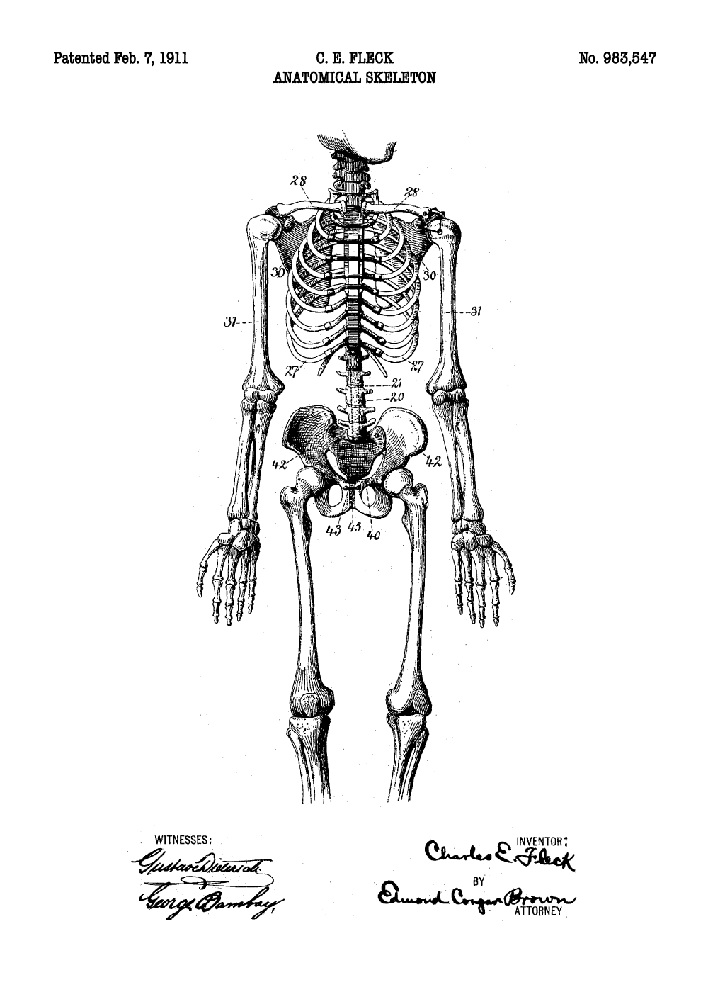 Anatomi model plakat - Original patent tegning